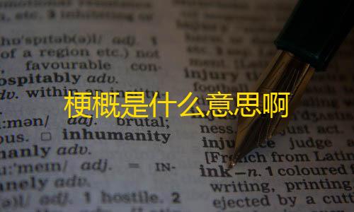 毛豆直装V6.0科技梗概是什么意思啊